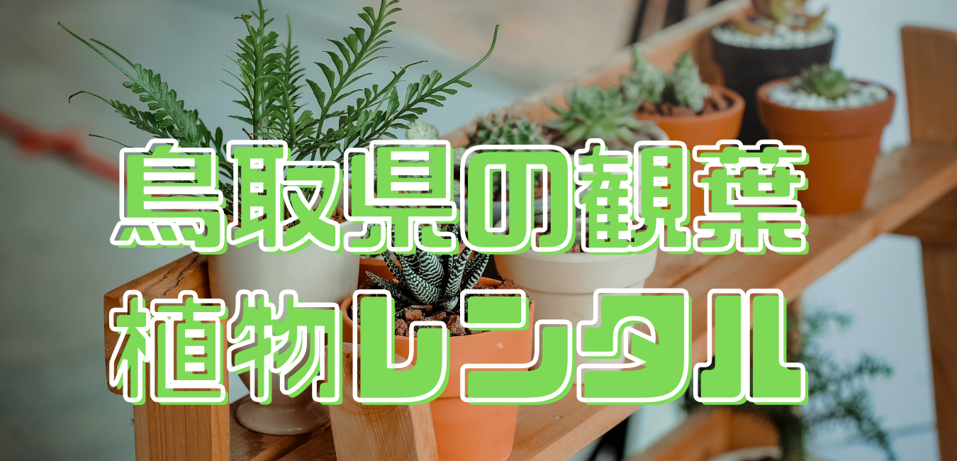 鳥取県の観葉植物レンタル