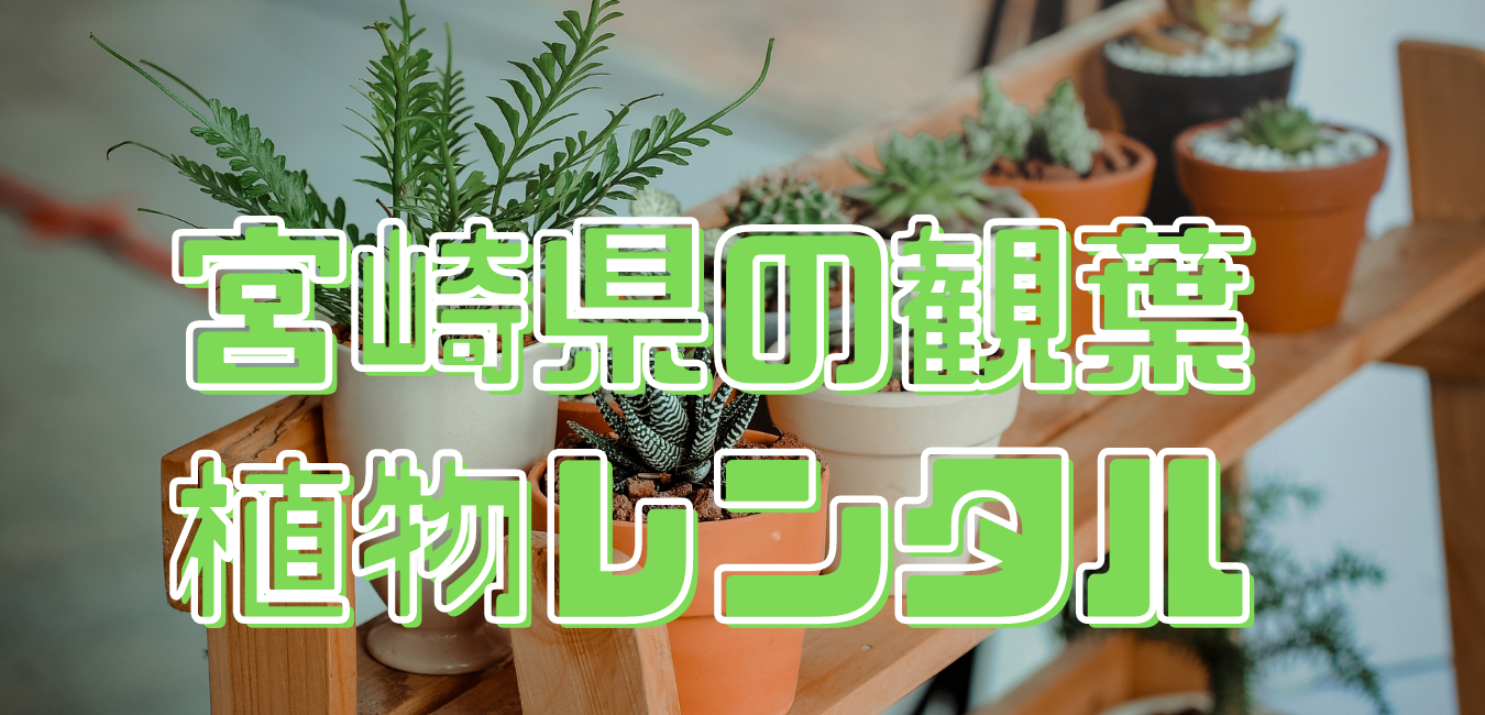 宮崎県観葉植物レンタル