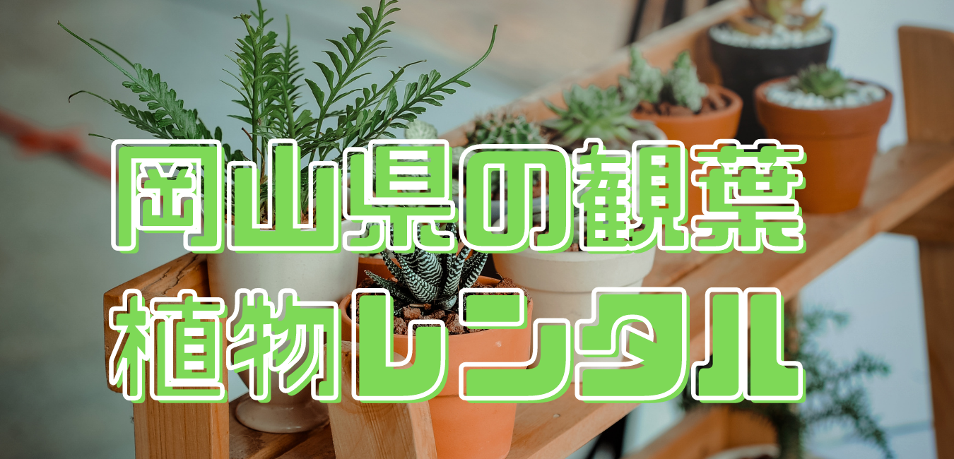 岡山県観葉植物レンタル