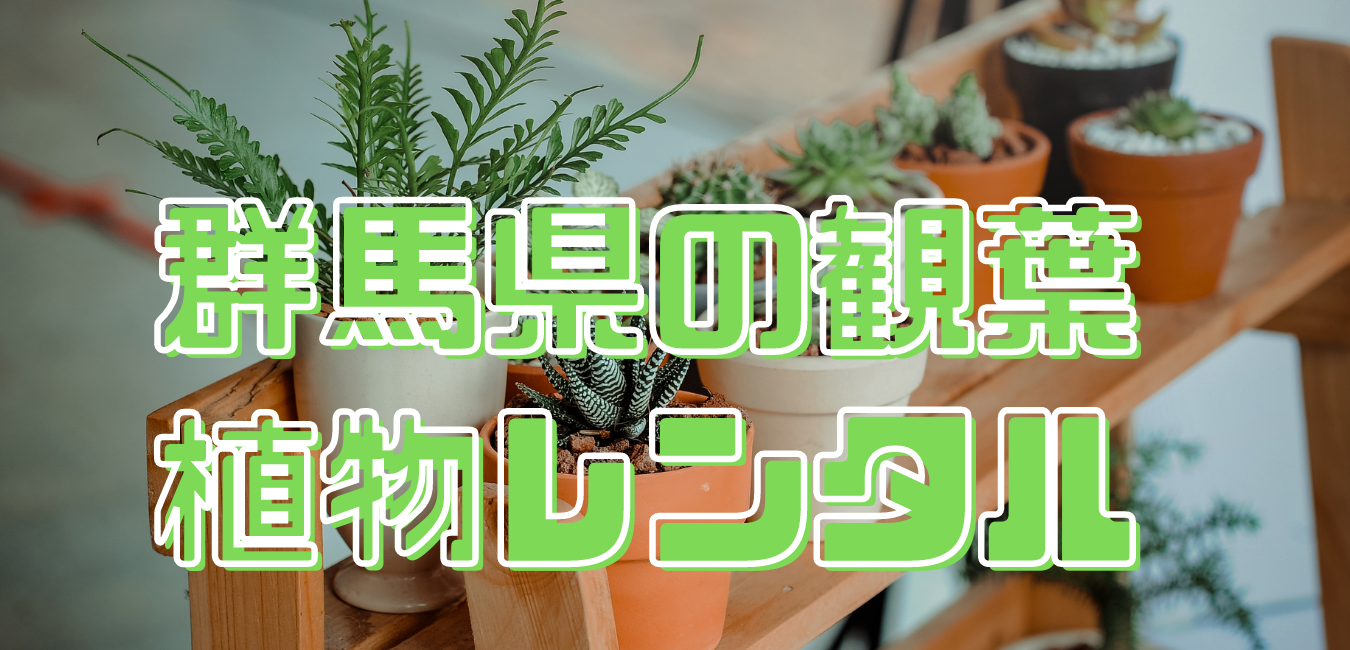 群馬県観葉植物レンタル